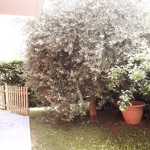 Bed & Breakfast Beb Ulivo, Santa Giuletta